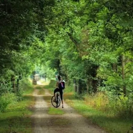 Casa vacanze Cosy En Conteneur-maritime